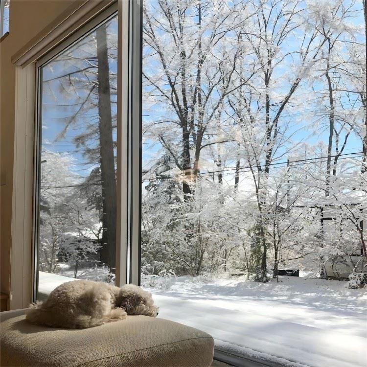 Aluminum Windows
